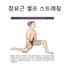 풀어야할 근육 장요근과 굽은 등에 좋은 척추스트레칭 이미지