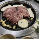 왕소금생삼겹살갈매기 이미지