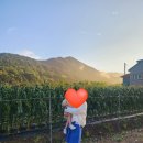 무진장축협무주지점 | 무주구천동 좋은날 펜션 2박 3일 휴가, 무주 콩수레두부, 거창 한우 맛집 거창축협 한우팰리스