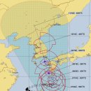 6호 태풍이 북상중이니 경상도 쪽 양봉장들은 대비들 하세요. 이미지