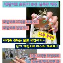 네일단길