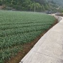 다 내꺼다 이미지