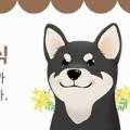 치치까까 이미지