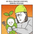 [🌿🌱🪴] 대구 꽃집/식물 <새늘가드닝> 후기