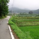 백신2리 이미지