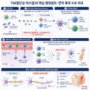 (주)브이아이피 응급환자이송센터 | 🩺 "걷지 못하는 아이, 단순 마비일까?" | 횡단성 척수염(Transverse Myelitis)의 병태생리와 초기 접근법