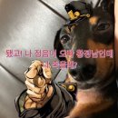 해피휴 | 자기야 의미 없는 사랑 싸움은 그만하자