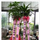 팔봉샵