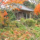 만취정 | 곧은 절개가 광주 만취정(晩翠亭)