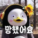 썸띵블루(Something Blue) 이미지