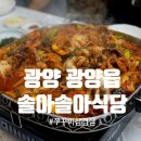 솔아식당 | 광양) 전통의 쭈꾸미맛집! &#34;솔아솔아식당&#34; !!!