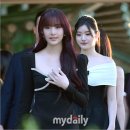 피프티(fifty) 마이데일리