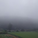 다그라스통나무민박 이미지