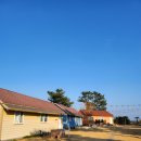 제주 성산 숙소 슬로우시티 전원마을 9박 머물었던 솔직 후기