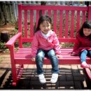 스텔라 민박 이미지