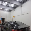 카멜레온 디테일 이미지