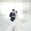 오디세이스튜디오 | 천안 웨딩 촬영 반려견 동반 가능 오디세이 스튜디오 솔직후기