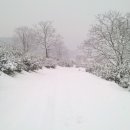 백화농장 이미지