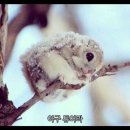2025.06.28(토)~29(일) 1.2초 대부도