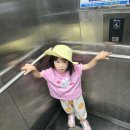 예빈이 주말이야기 이미지