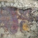 신라세탁 이미지