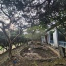 나절로미술관 이미지