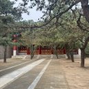베이징 가실 수수수 수퍼노바