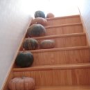 모니카 하우스 이미지