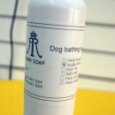 두부네 펫살롱 이미지