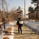 미숭산자연휴양림 이미지