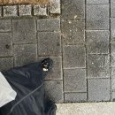 세종로 45번길~세종로79번길 | 이천갔다가 쇼핑했다가 여주갔다가 이동진의 언택트톡 원배틀 에프터 어나더 본 나날들