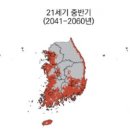 한반도가 아열대로 변하고 있다 이미지