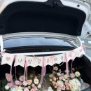 세종로 45번길 이미지