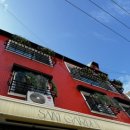 코지부호 이미지