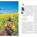 (주)에스커뮤니케이션스 이미지