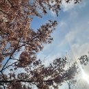 2018 영덕군 송년콘서트 | [내맘대로] 2025 어워즈