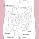 서울바른약국 이미지