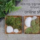 폭스더그린