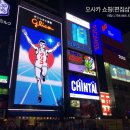 이이엘(EEL) | 일본 오사카 오렌지스트릿/신사이바시 네펜데스/스트라토 쇼핑(편집샵) 후기