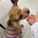 엘페로3 | W5. [메이크업] 웨딩촬영 메이크업 엘페라 우리 부원장님 후기