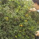 국환농장 이미지