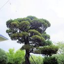 가락동행정복지센터 이미지