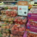 복덩이떡볶이 이미지