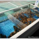 우정회조개구이 | 오이도에 여행다녀오다가 기억나는 맛집은 오이도 맛집[우정횟집]이에요