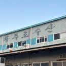 수산중학교 | 용인 기흥 회 포장 모듬회 방어 - 재방문 맛집 활주로수산 후기