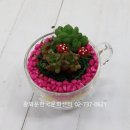 봄다육아트