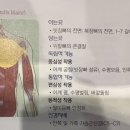 웨이트 트레이닝 이미지