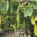 반월농장 이미지