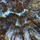 명곡동250 이미지