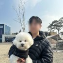 휘게캠피크 | 경기도 화성 궁평항 근처 애견 동반 캠핑장 '휘게캠피크' 내돈내산 후기 (A2, 명당, 캠핑 메뉴 추천)